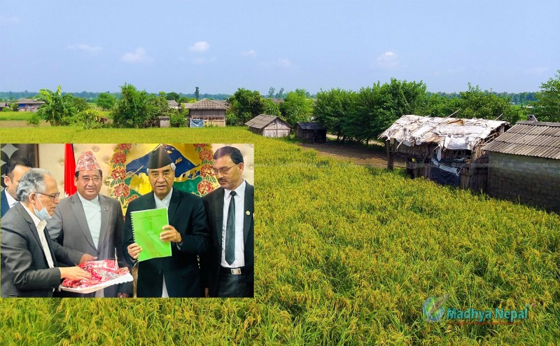 निजगढ विमानस्थल बनाउँदा कार्बन उत्सर्जन कम हुने विज्ञ समूहले प्रतिवेदन